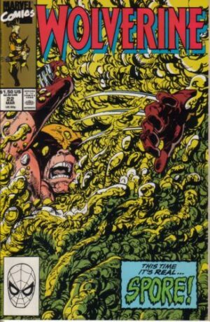 Wolverine, Vol. 2 - #22